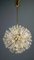 Lustre Dandelion par Emil Stejnar pour Rupert Nikoll, 1950s 1