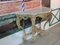 Antique Wood and White Marble Console Table 3