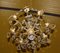 Antique 8-Arm Crystal Chandelier 3