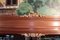 Vintage Louis XVI Style Mahogany Dining Table 7