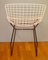 Wire Side Chair by Harry Bertoia, 1960s, Image 6