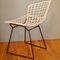 Wire Side Chair by Harry Bertoia, 1960s, Image 3