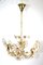 Gilded Chandelier from Palwa, 1960s 13