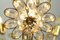 Gilded Chandelier from Palwa, 1960s 4