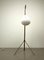 French Adjustable Floor Lamp, 1950s 6