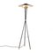 Mid-Century Italian Floor Lamp from Stilnovo, 1950s 4