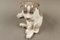 Figura de perro modelo 1452/259 de porcelana de Erik Nielsen para Royal Copenhagen, 1952, Imagen 12