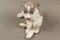 Model 1452/259 Porcelain Puppy by Erik Nielsen for Royal Copenhagen, 1952, Image 12