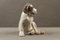 Figura de perro modelo 1452/259 de porcelana de Erik Nielsen para Royal Copenhagen, 1952, Imagen 10
