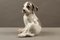 Figura de perro modelo 1452/259 de porcelana de Erik Nielsen para Royal Copenhagen, 1952, Imagen 13