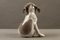 Figura de perro modelo 1452/259 de porcelana de Erik Nielsen para Royal Copenhagen, 1952, Imagen 5