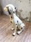 Scultura in ceramica raffigurante un cane, anni '70, Immagine 8