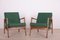 300-139 Armchairs from Swarzędzka Factory, 1960s, Set of 2 2