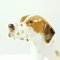 Vintage Porcelain Dog Sculpture from Lomonosov, 1950s 10