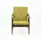 Fauteuil Mid-Century de TON, 1960s 9