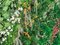 Pannello da parete verticale Daintree di Vgnewtrend, Immagine 3
