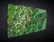 Parete Vegetale Daintree Wall Panel Vertical Garden from VGnewtrend 1