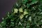 Modulares Ivy Wand-Gartenpaneel von VGnewtrend 4