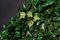 Pannello da giardino verticale modulare Ivy di VGnewtrend, Immagine 4