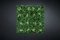 Modulares Ivy Wand-Gartenpaneel von VGnewtrend 1