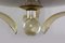 Brass and Curved Glass Chandelier from ESC Zukov, 1940s 13