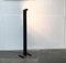 Vintage Italian Zagar Terra Floor Lamp by Silvio Carpani for Stilnovo, 1970s 1