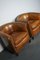 Club chair vintage in pelle color cognac, Paesi Bassi, set di 2, Immagine 8
