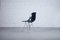 DSR Fiberglass Side Chair by Charles & Ray Eames for Herman Miller, 1950s, Image 4