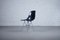 Chaise d'Appoint DSR en Fibre de Verre par Charles & Ray Eames pour Herman Miller, 1950s 3