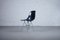 DSR Fiberglass Side Chair by Charles & Ray Eames for Herman Miller, 1950s 3