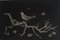 Bird on Roots Lithografie von Kiyoshi Hasegawa, 1960 1