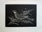 Bird on a Flower of Light Engraving by Kiyoshi Hasegawa, 1963, Image 4