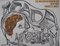 Dada, Surrealismus und ihr Erbe von Salvador Dali 6