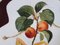 Plat The Apricot Knight en Porcelaine par Dali Salvador 9