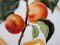 Plat The Apricot Knight en Porcelaine par Dali Salvador 8