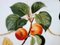 Assiette The Apricot Rider en Porcelaine par Dali Salvador 8