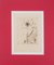 Gravure Fleur de Printemps par Kiyoshi Hasegawa 2