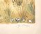 Horses in the Countryside Lithographie von Yves Brayer 3