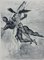 Incisione Purgatory 8 di Salvador Dali for The Divine Comedy, Immagine 1