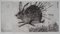 Gravure The Hare Hunt par Mordecai Moreh, 1937 7