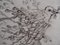 L’oiseau du Printemps Engraving by Mordecai Moreh 2