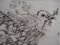 L’oiseau du Printemps Engraving by Mordecai Moreh, Image 3