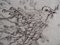 L’oiseau du Printemps Engraving by Mordecai Moreh, Image 1