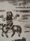 Aimé MONTANDON: La travailleée des cavaliers - Tiefschwarzer Originale Signée 5