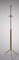 Austrian Brass and Teak Floor Lamp, 1950s, Image 6