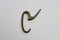 Mid-Century Coat Rack and Hooks by Carl Auböck 10
