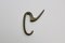 Mid-Century Coat Rack and Hooks by Carl Auböck, Image 10