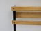 Mid-Century Coat Rack and Hooks by Carl Auböck 6