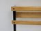 Mid-Century Coat Rack and Hooks by Carl Auböck, Image 6