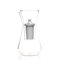 Smooth Glass Talise Carafe by Felicia Ferrone for Fferrone, Image 4